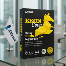 Risma Carta A4 per Stampante