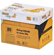 Risma Carta A4 per Stampante